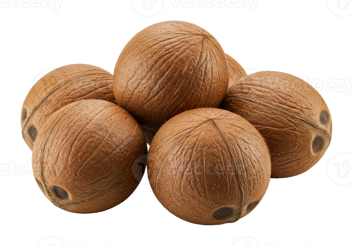 Harvesting fresh coconuts tropical fruit collection island market food photography natural setting png