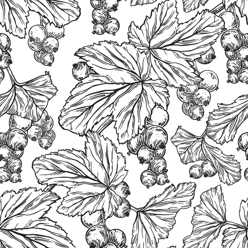 Blackcurrant berry, branches and leaves. Summer seamless surface pattern design of garden plant. Hand drawn botanical endless background of ink plants for cosmetics packaging, fabric, table textile vector