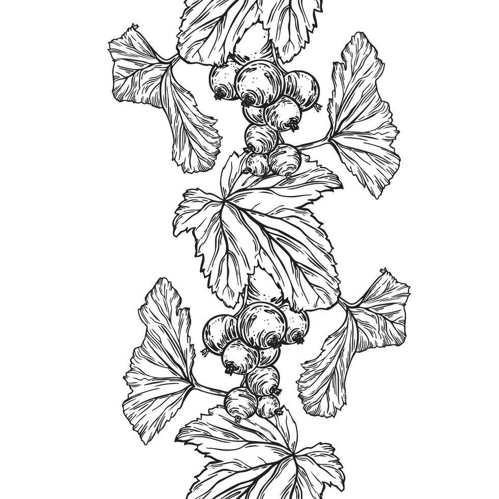 Seamless border of blackcurrant berry bunch, branches, and leaves. Summer garden banner in sketch outline style. Hand drawn botanical lane print of ink plants for cosmetics packaging, cards, textile vector