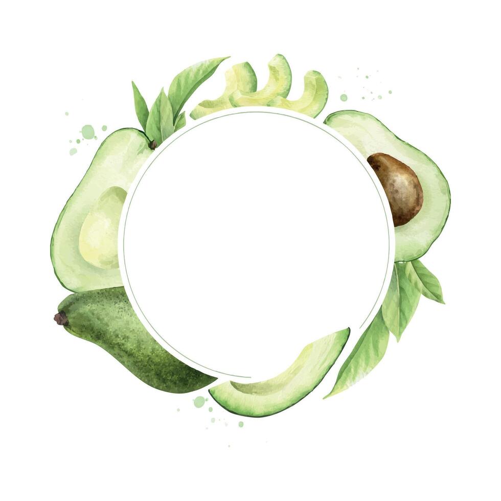 Round frame of green avocado fruits, slices, leaves and splashes. Watercolor arrangement of healthy vegan vegetables for menu, packaging of food, cosmetics, cards, recipe. High quality illustration vector