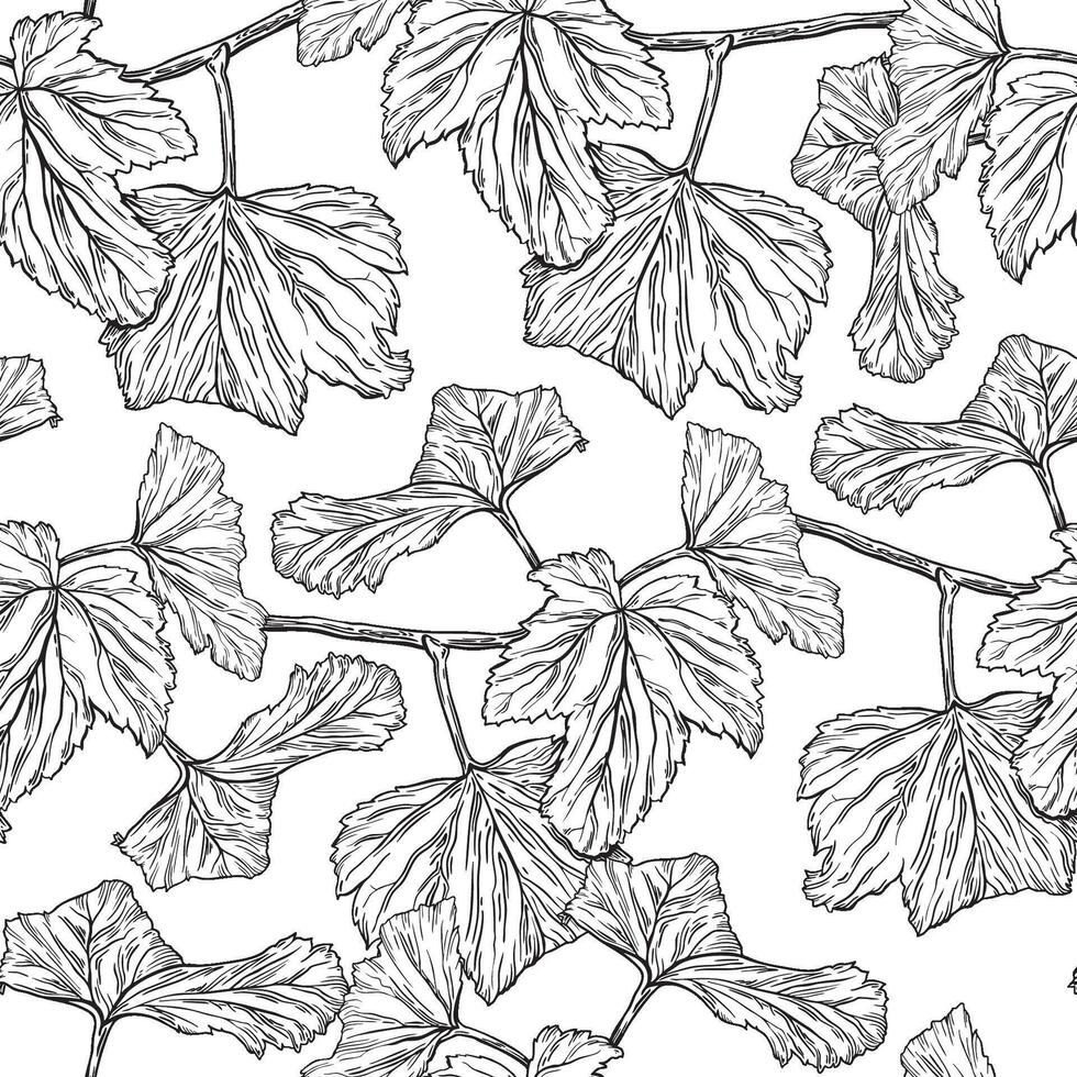 Seamless surface pattern design of garden black currant leaves. Summer print in sketch outline style. Hand drawn botanical background of black ink plants for cosmetics packaging, cards, textile vector