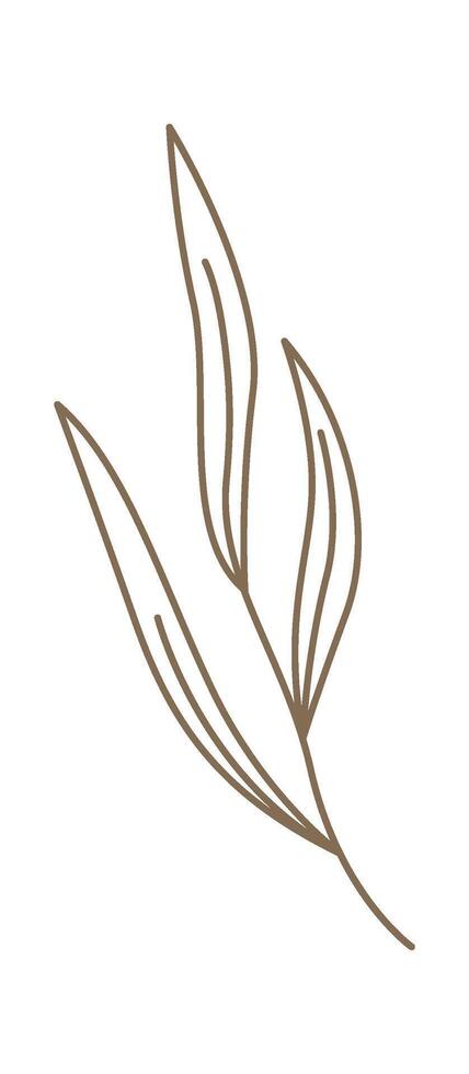 Contemporary leaves in line art style Flat Illustration Hand Drawn Icon vector