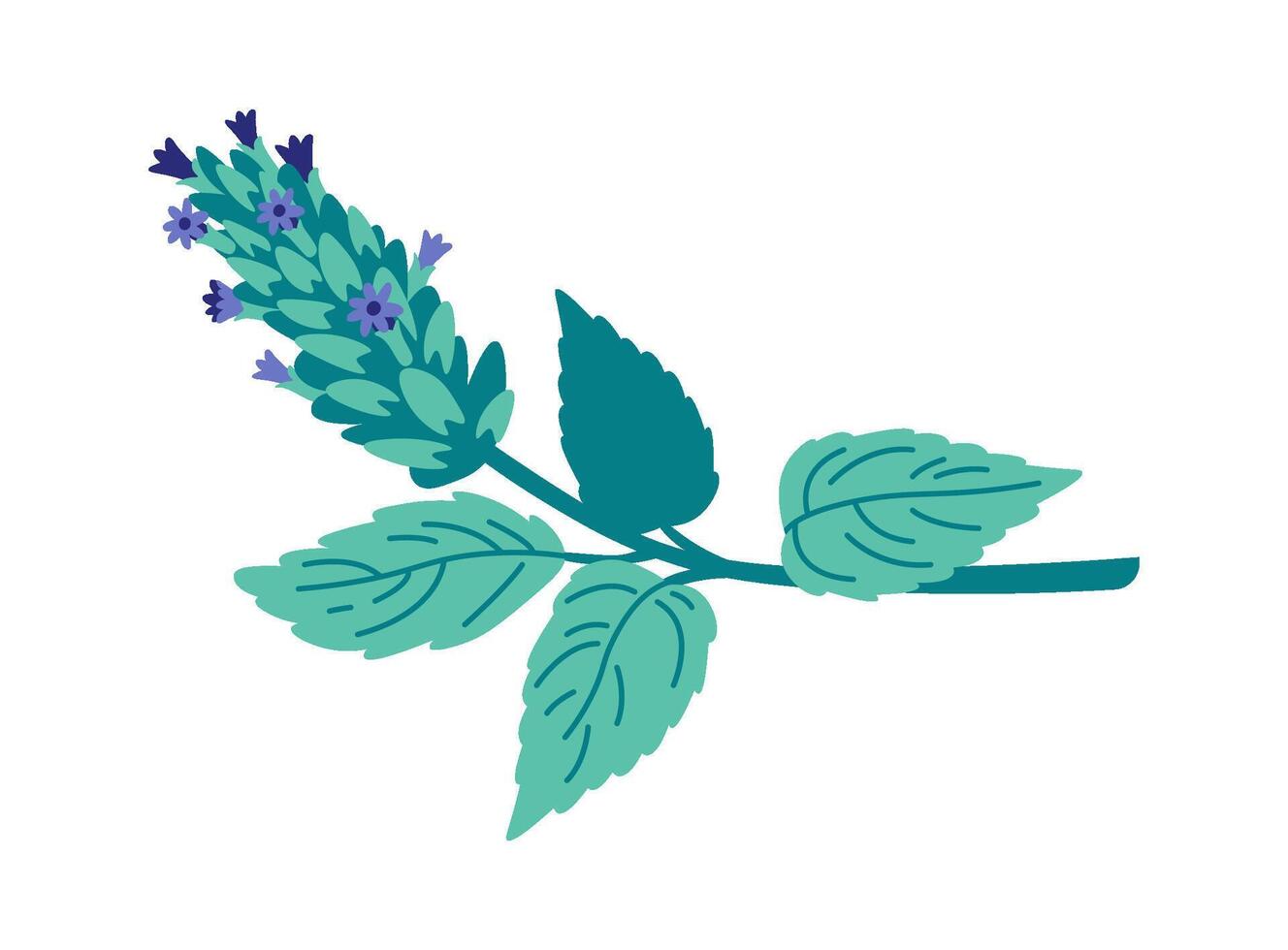 Dry mint plant flat icon Decor for food Flat Illustration vector