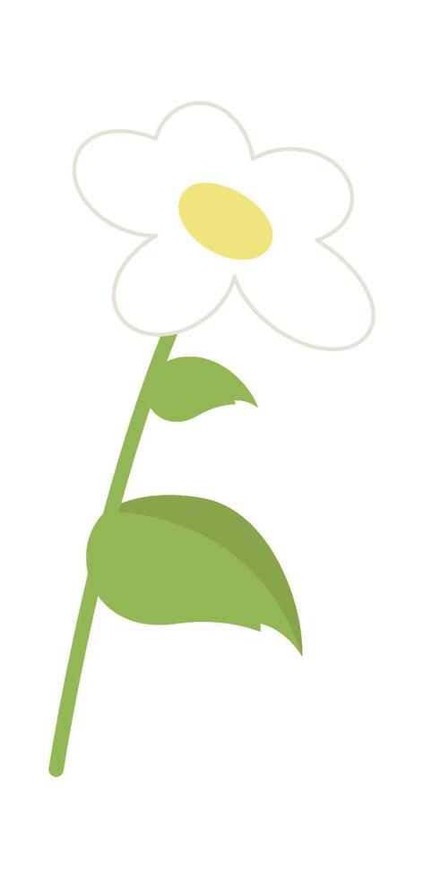 Spring chamomile flower flat icon Holiday Flat Illustration vector