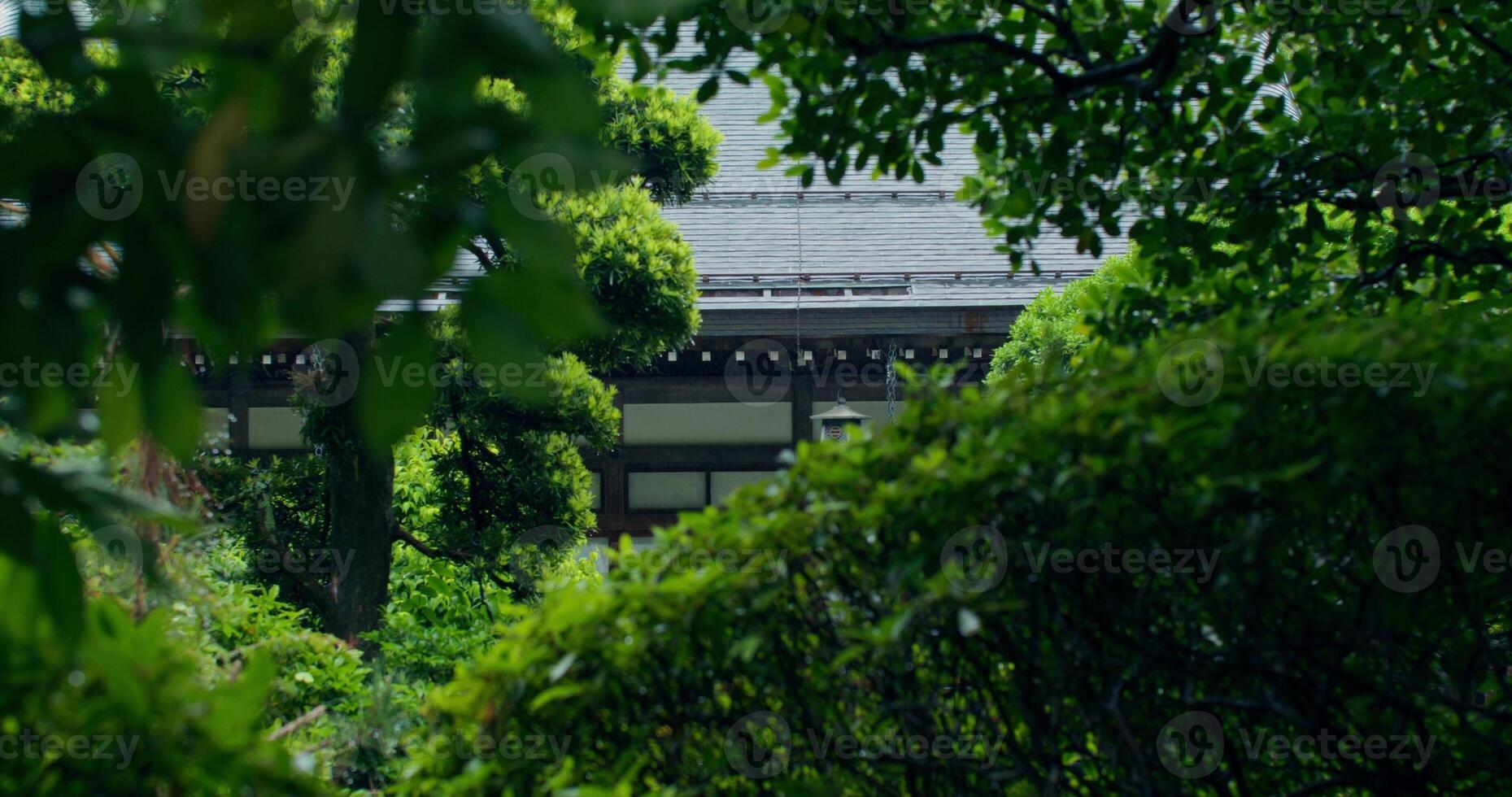 A view of a building through the trees photo