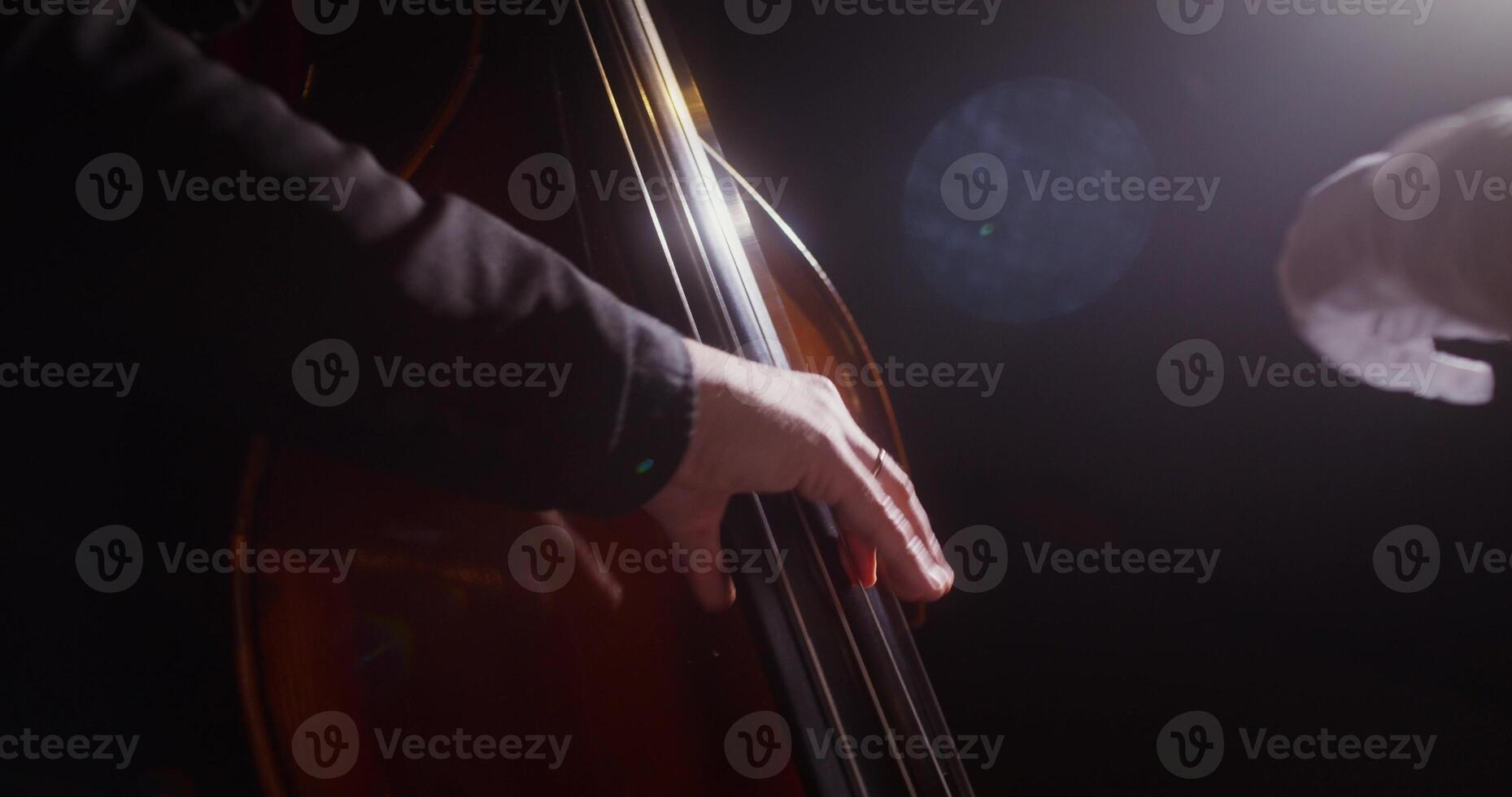 A man playing a double bass in a dark room photo