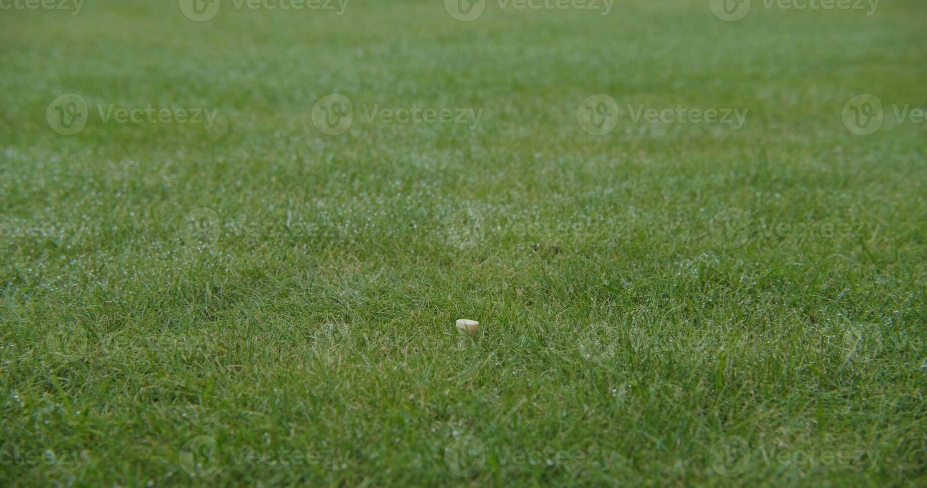 A yellow frisbee is in the middle of a grassy field photo