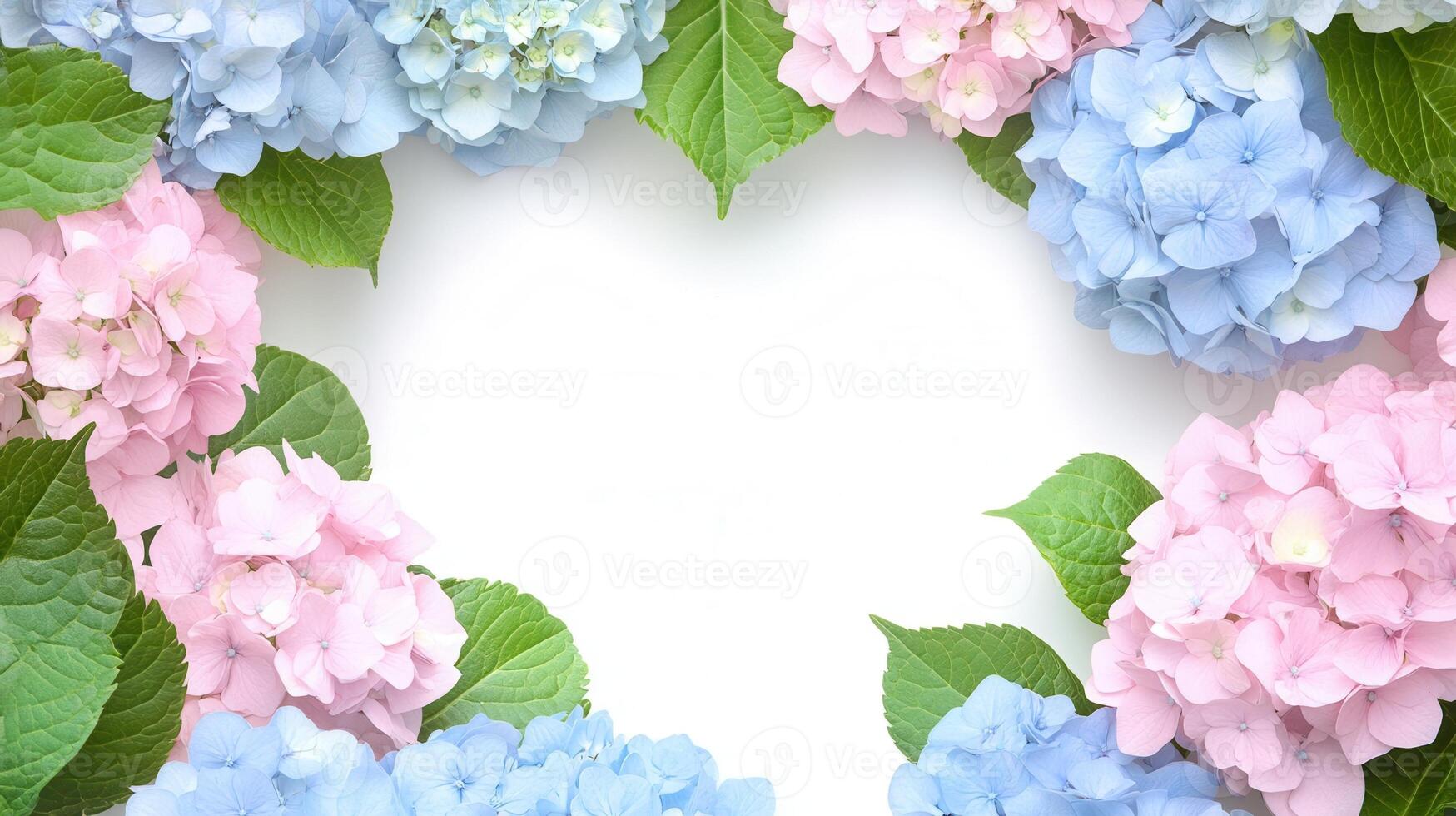 Pastel pink and blue hydrangea petals create text beautiful frame on a white background, offering a space for a or design photo