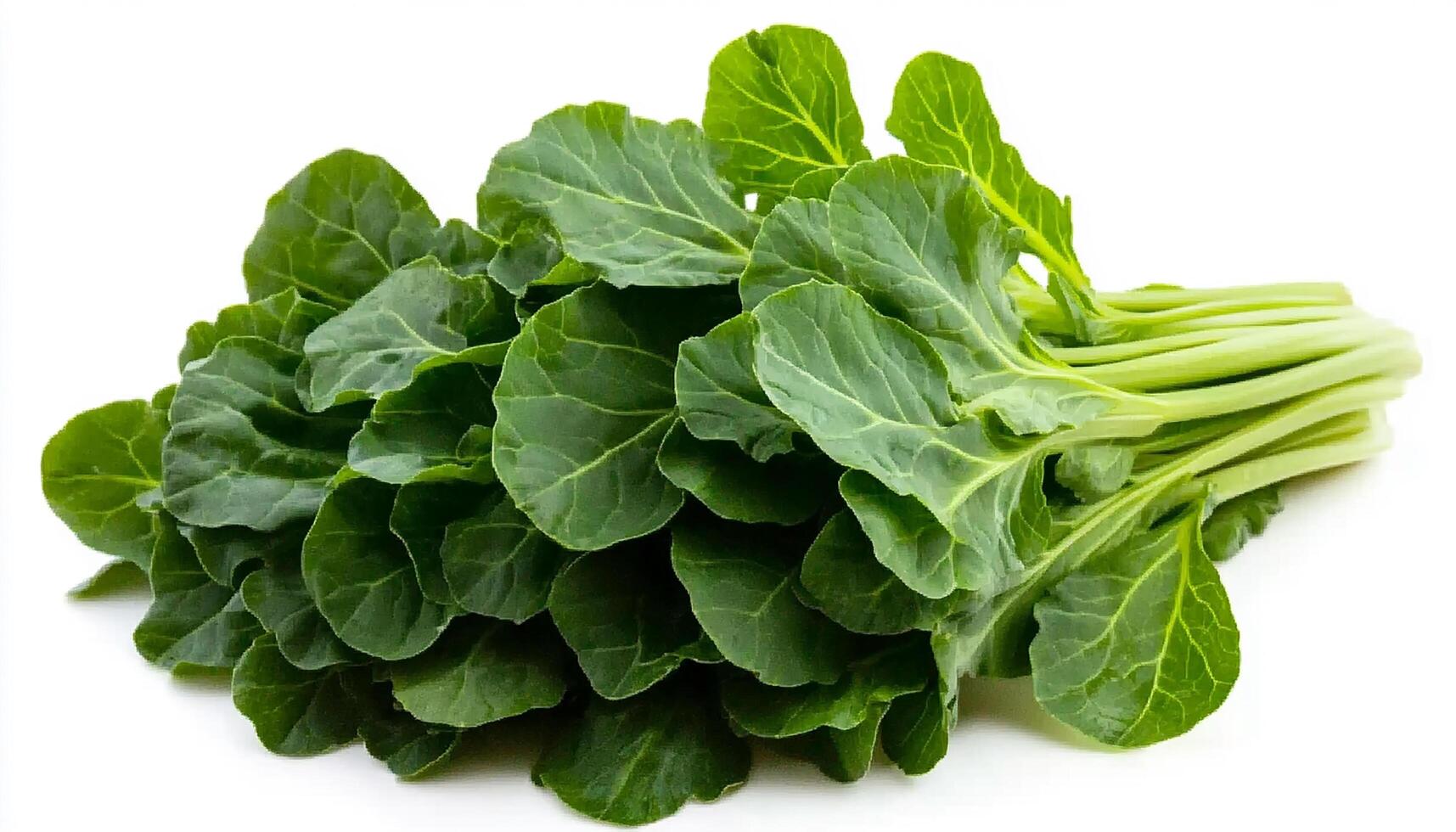 A bunch of fresh green collard greens with stems on a plain white surface in a studio shot photo