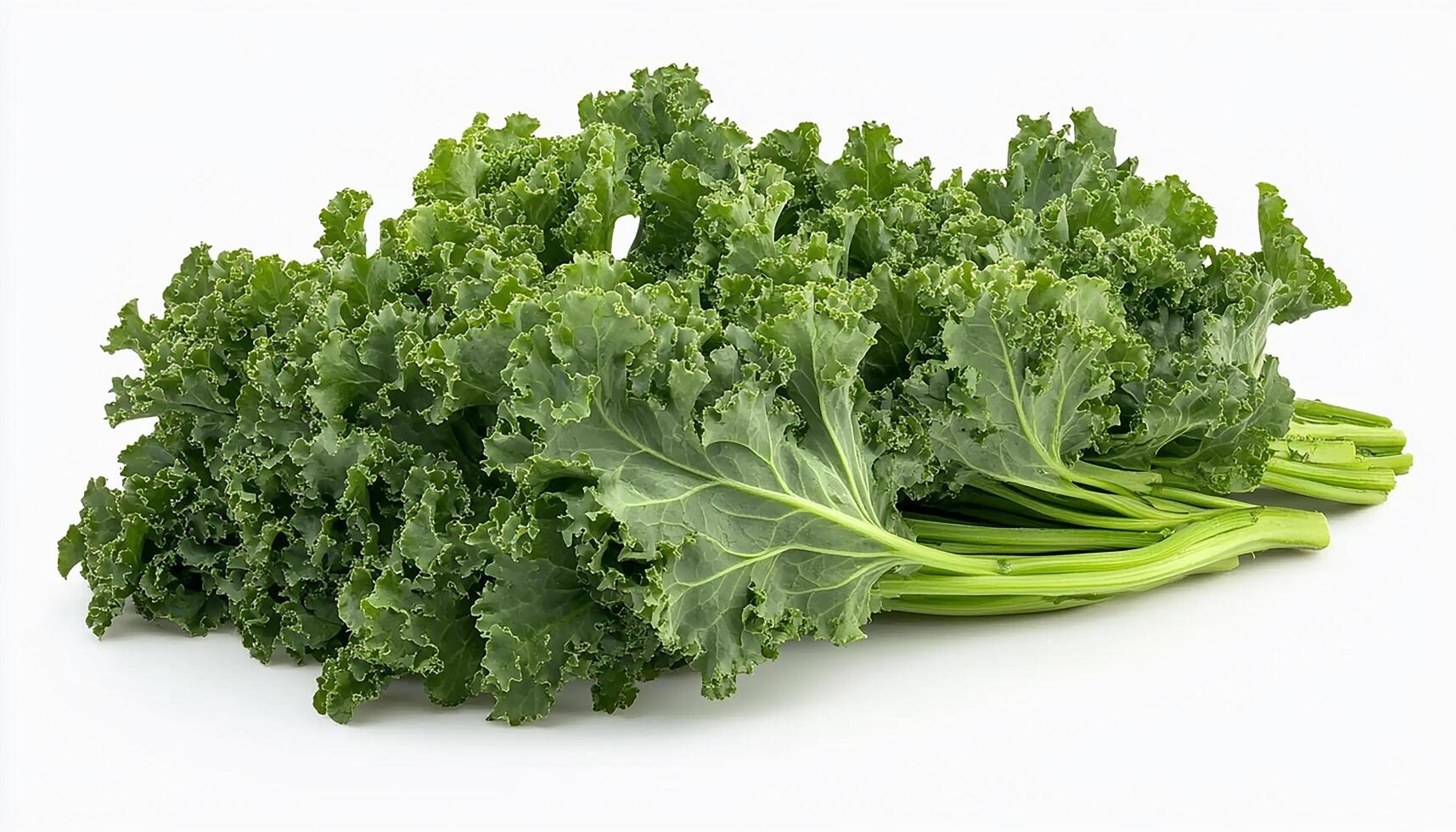 A bunch of fresh green curly kale with thick stems lying on a white surface in bright light photo