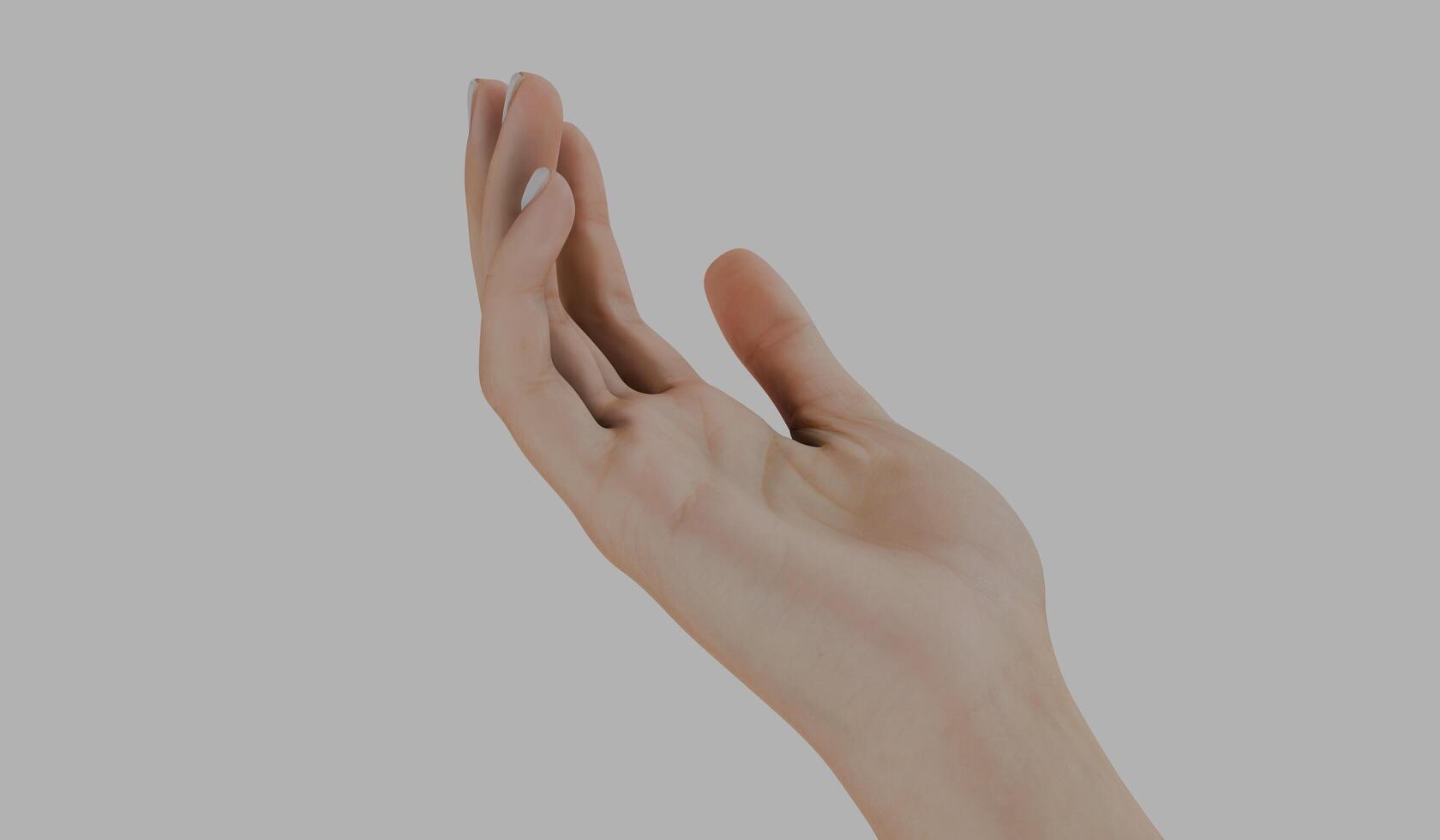 Hand, hand gesture, right hand, white background photo