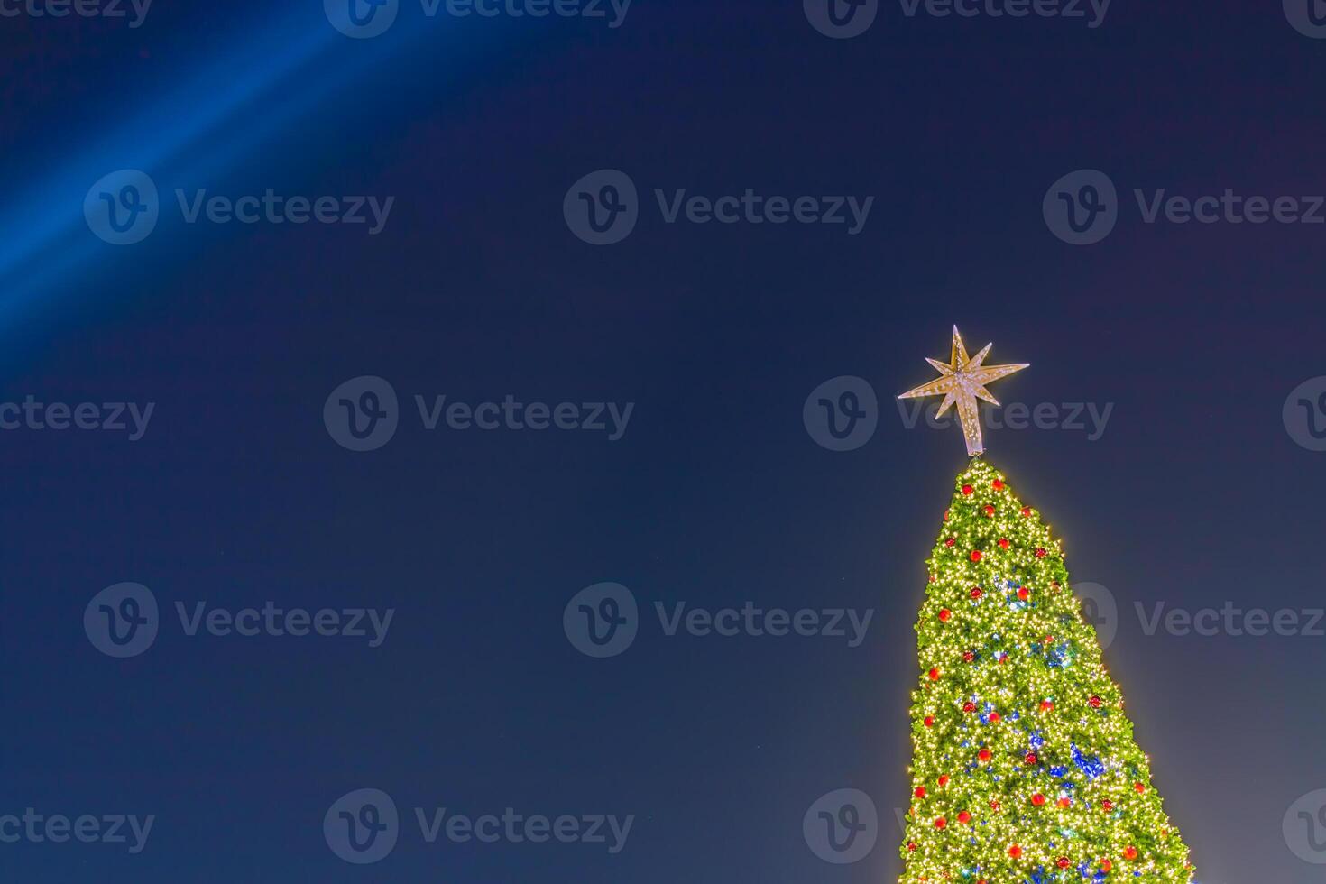A large christmas tree with lights and a star photo