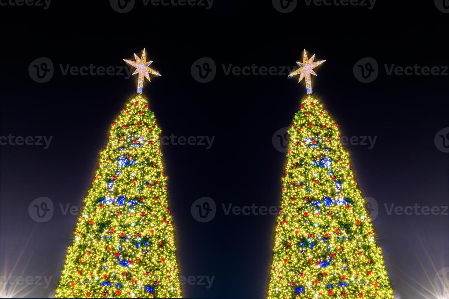Two large christmas trees with lights on them photo