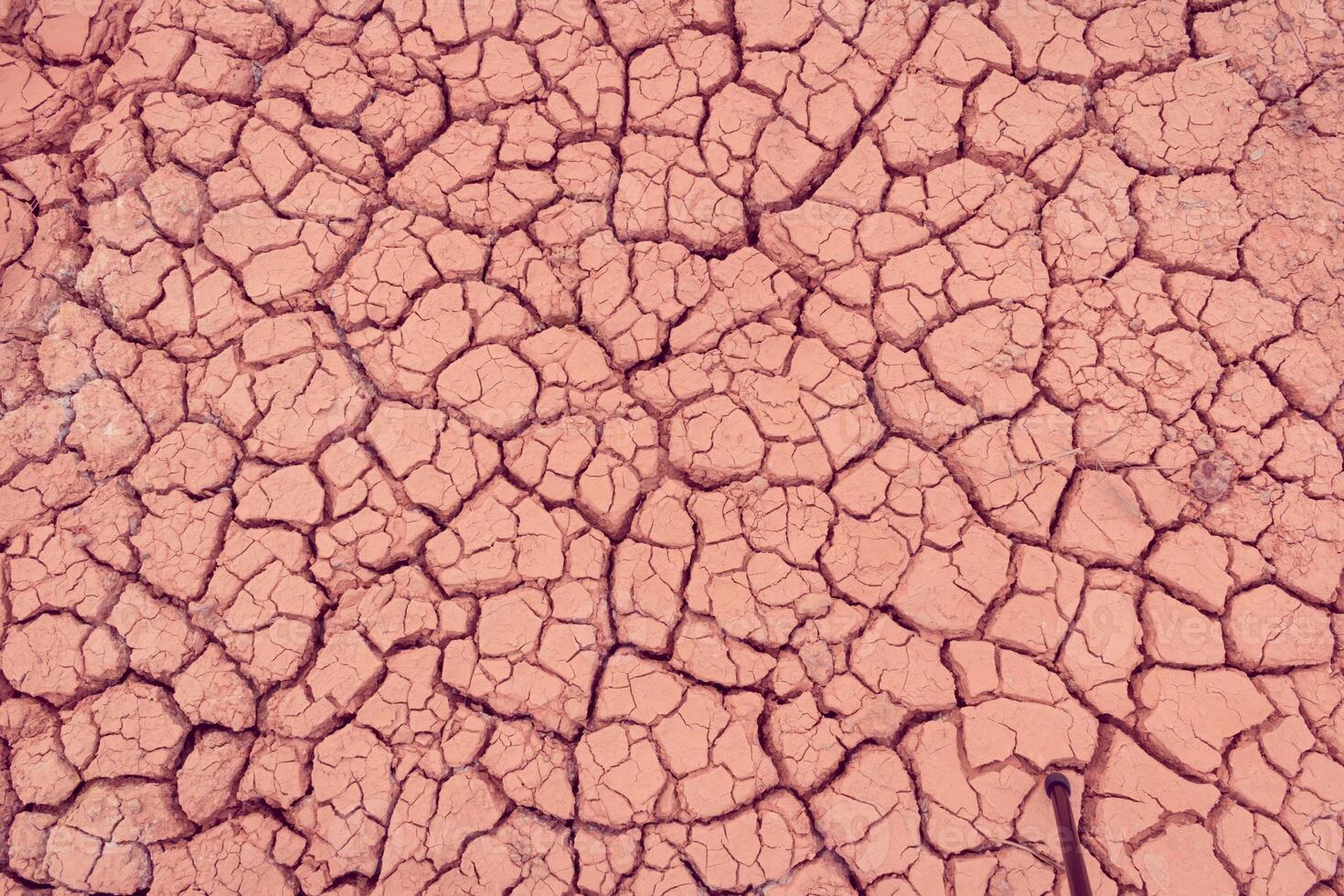 A close up of a cracked surface with a pink color photo