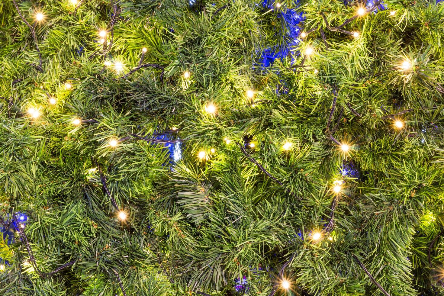 A close up of a christmas tree with blue lights photo