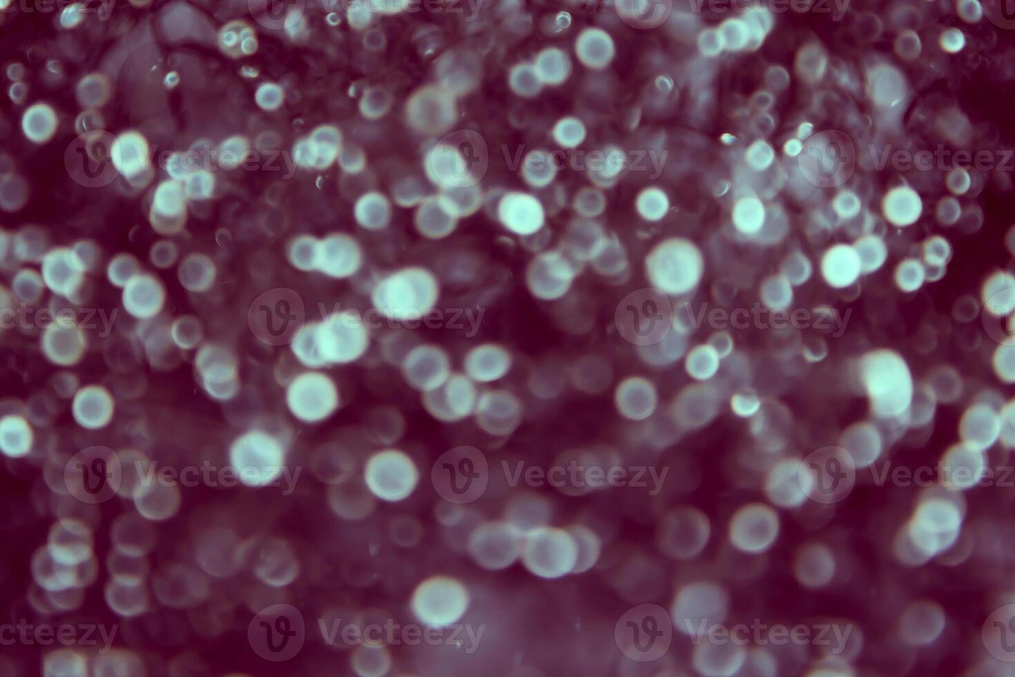 A blurry image of a purple background with white circles photo