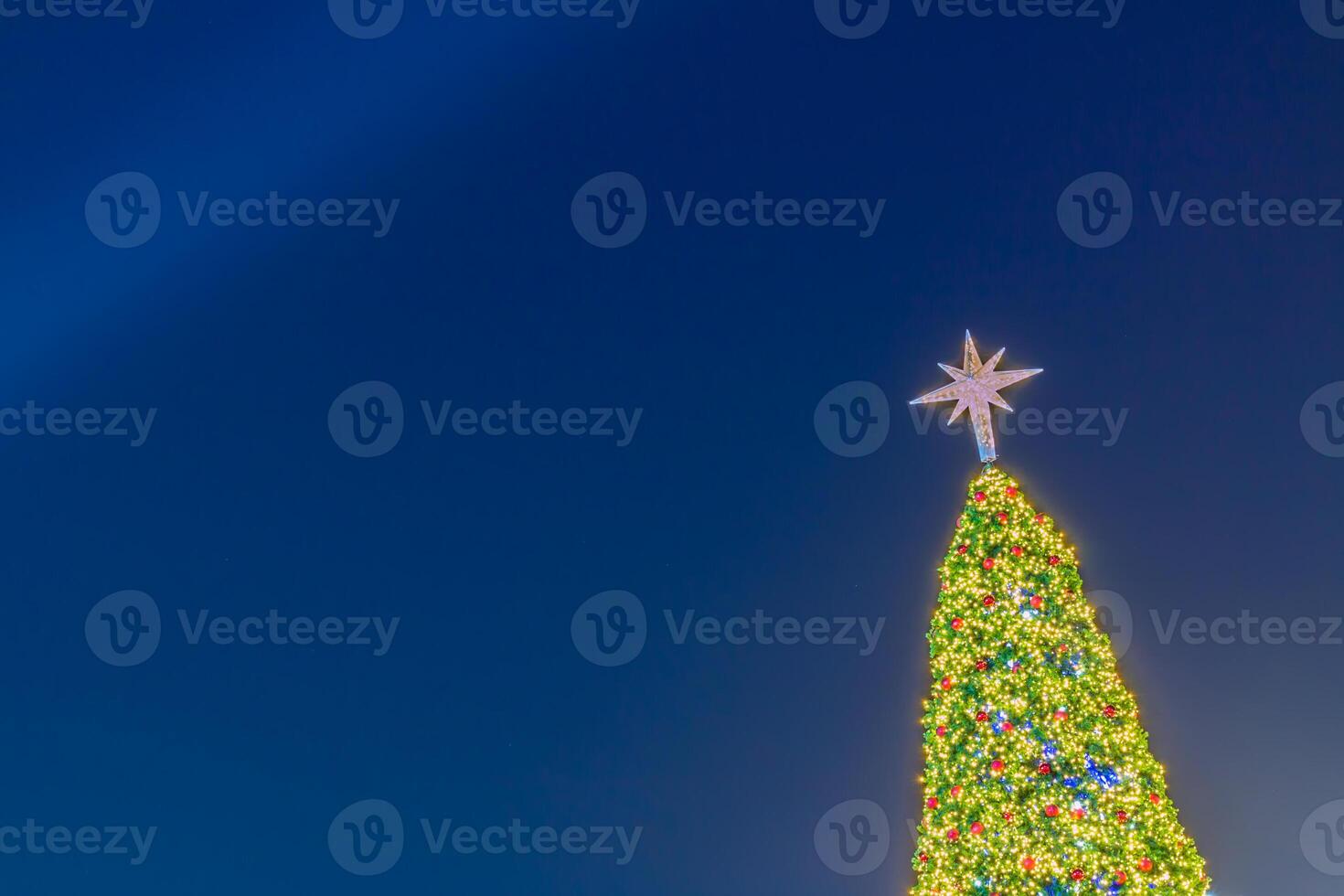 A large christmas tree with lights on it photo