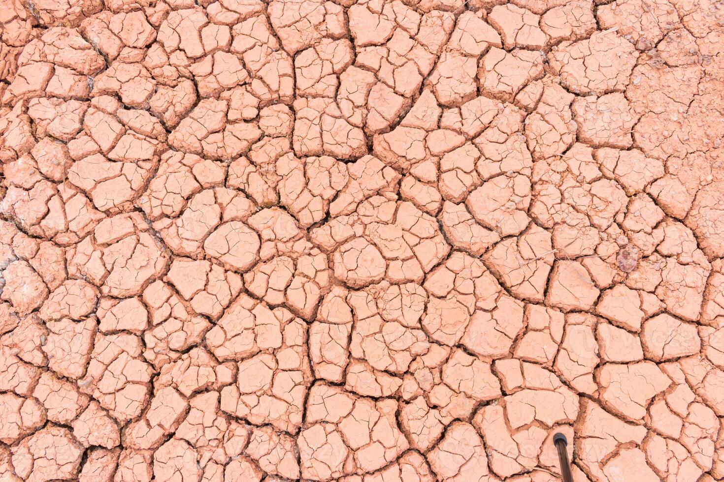 A close up of a cracked dry dirt surface photo