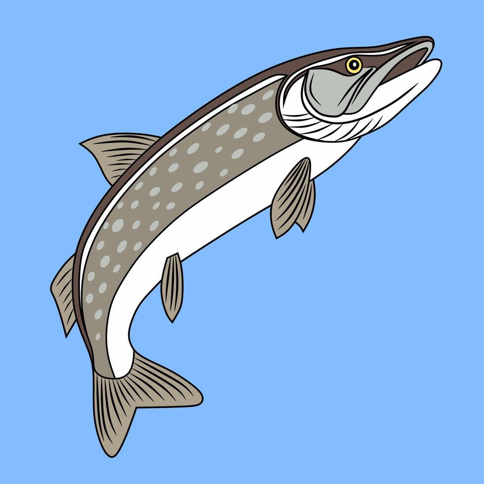 Colorful Mystus Fish Illustration vector