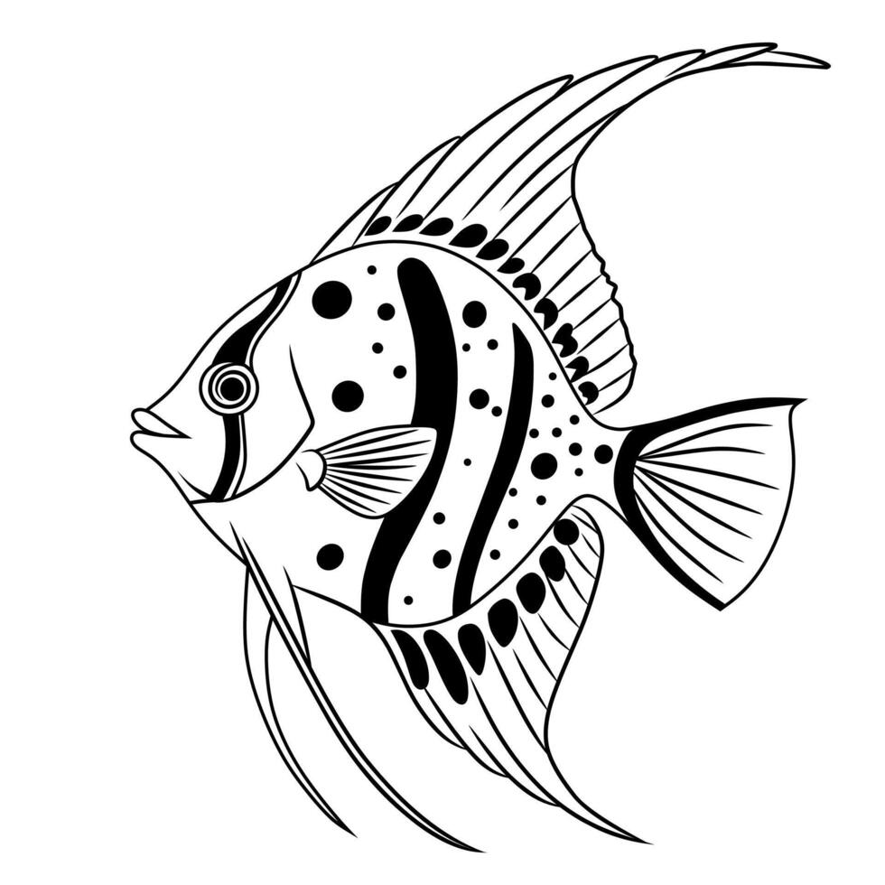 Salema Fish Line Art Illustration vector