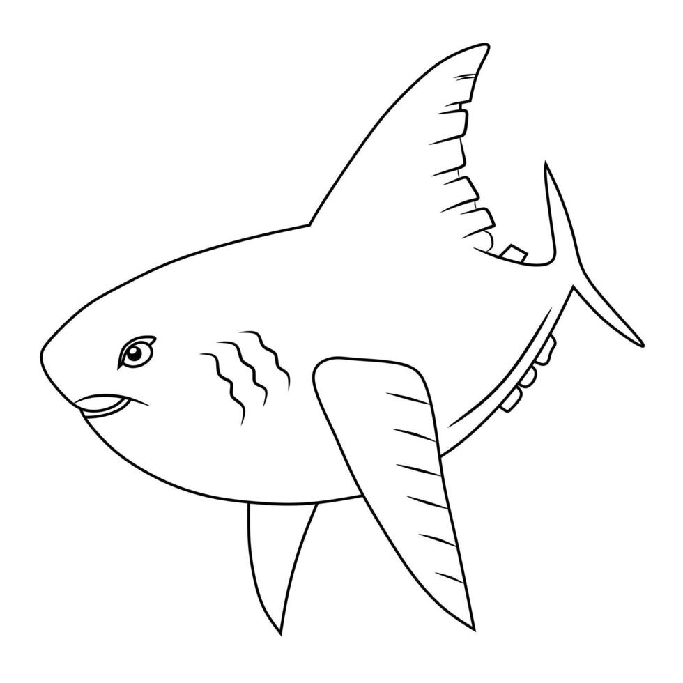 Ocean Sunfish Line Art Illustration vector