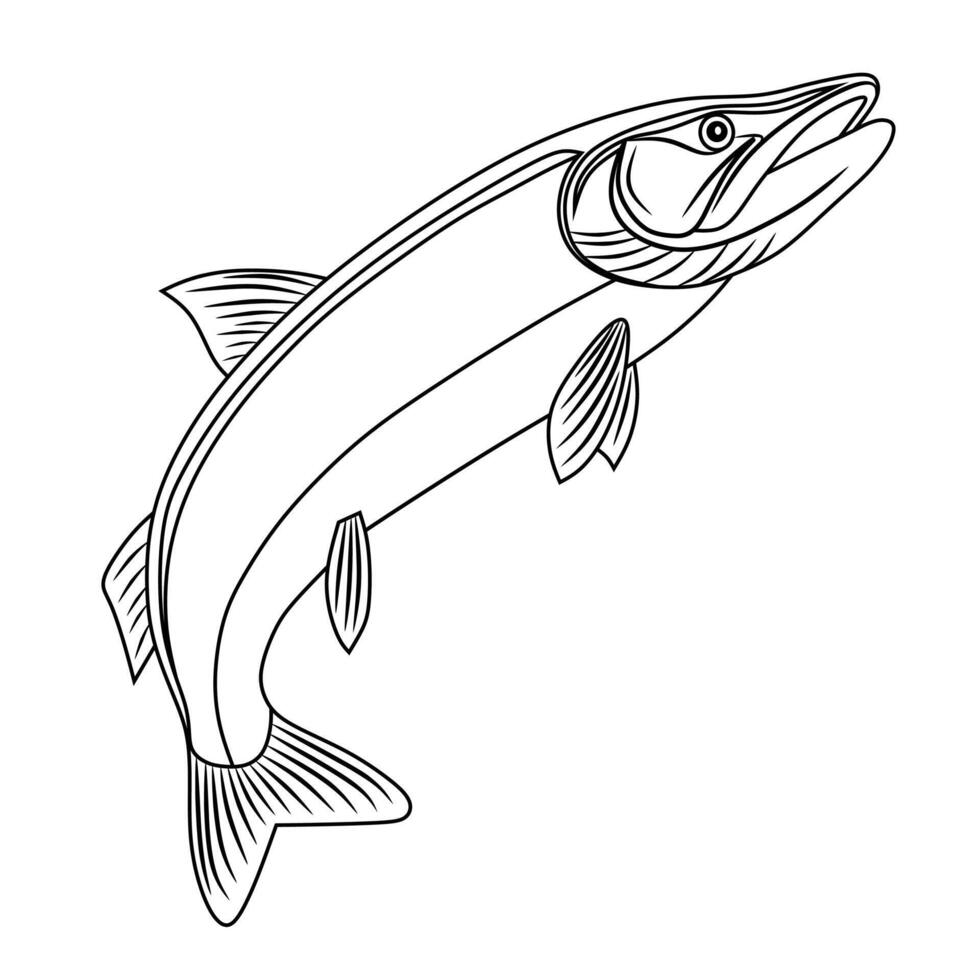 Line Art of Mystus Fish Illustration vector