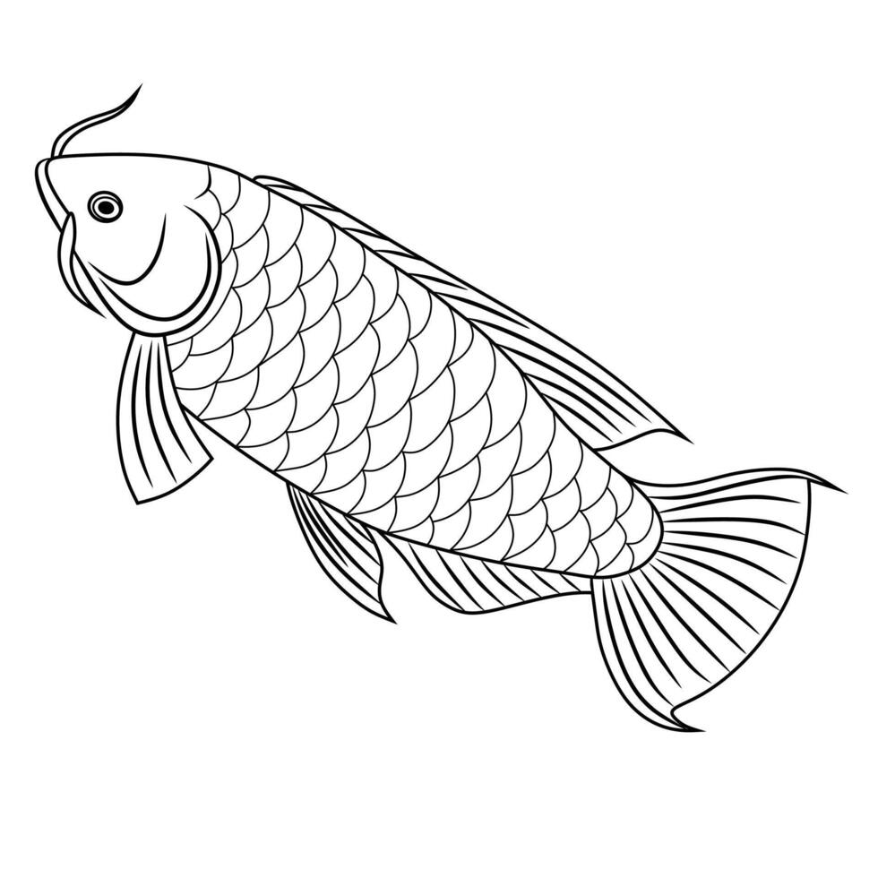 Arowana Fish Line Art Illustration vector