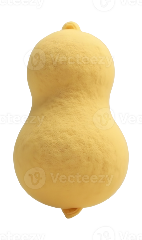 Fresh pale yellow gourd, natural and simple calabash vegetable png