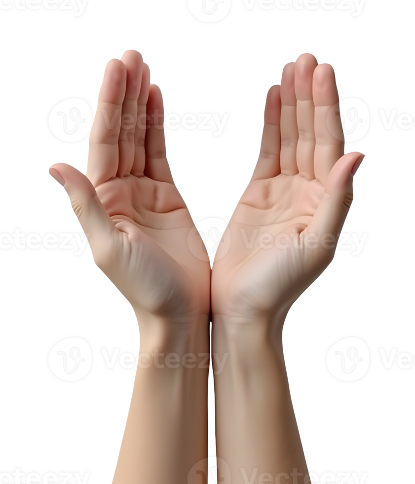 Open hands show hopeful offering with gentle gesture png