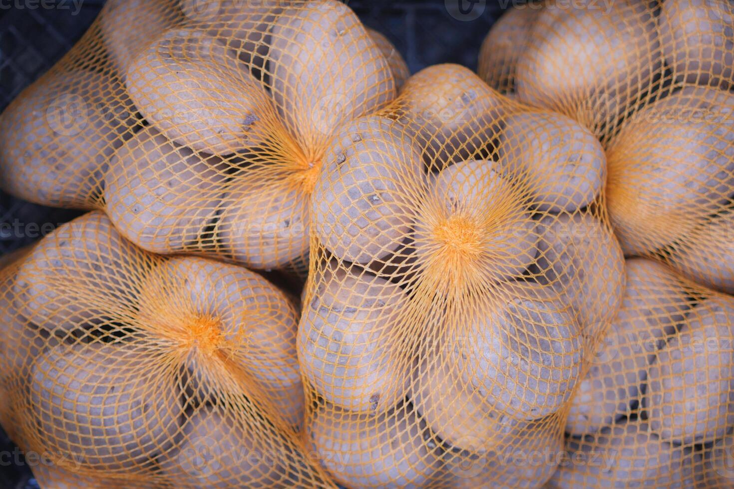 Freshly harvested potatoes in mesh bags displayed together photo