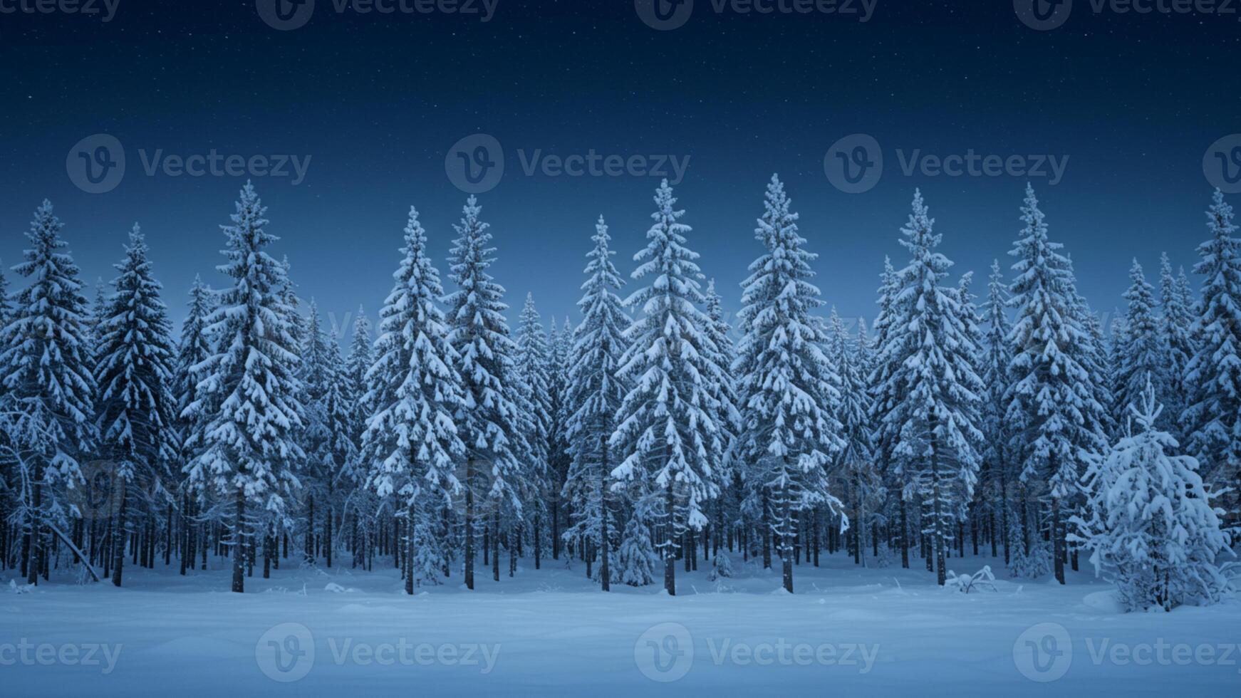 Winter Wonderland Forest at Night Snowy Pine Trees Landscape Cold Nature Scene photo