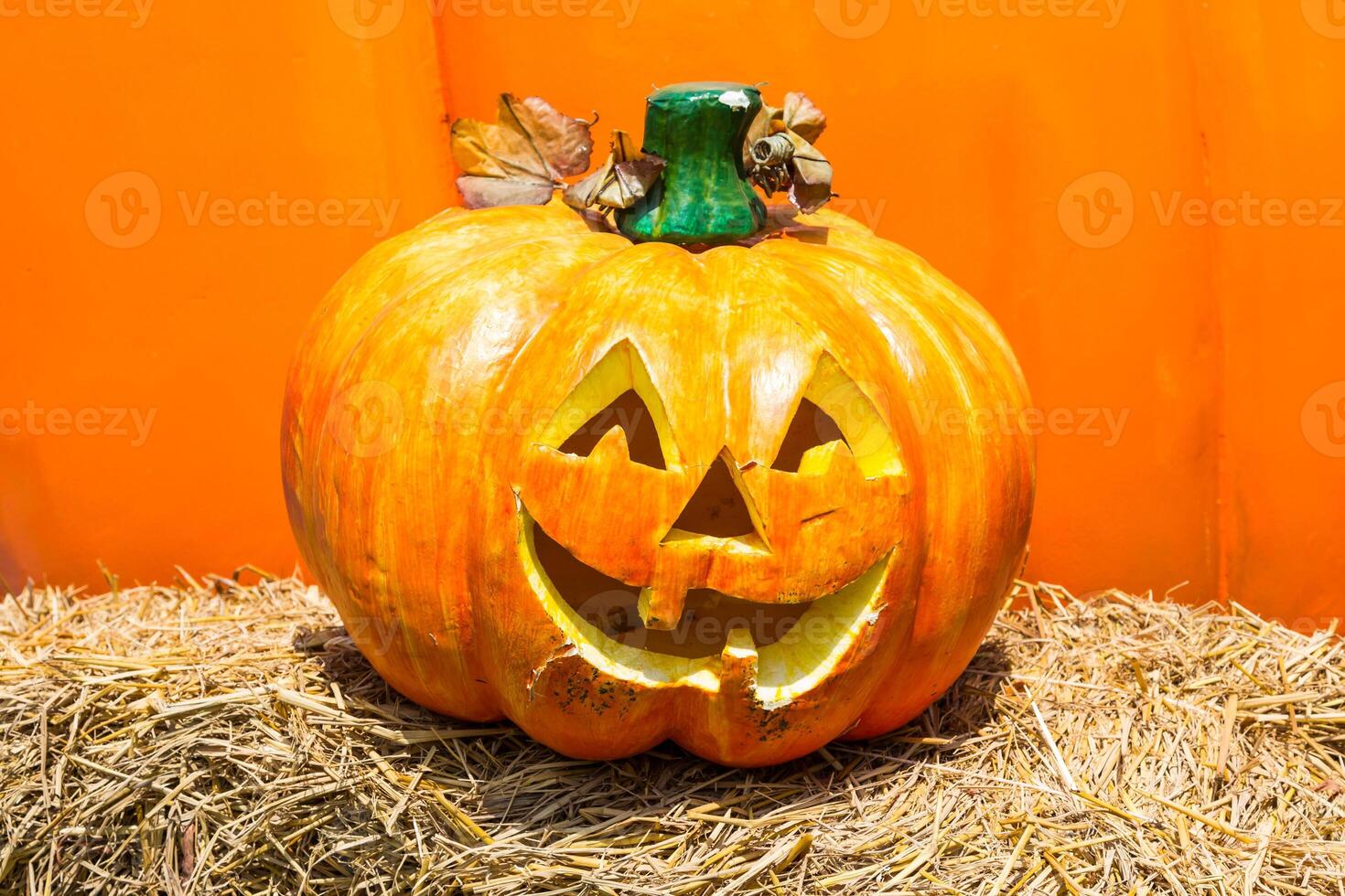 A pumpkin with a face on it photo