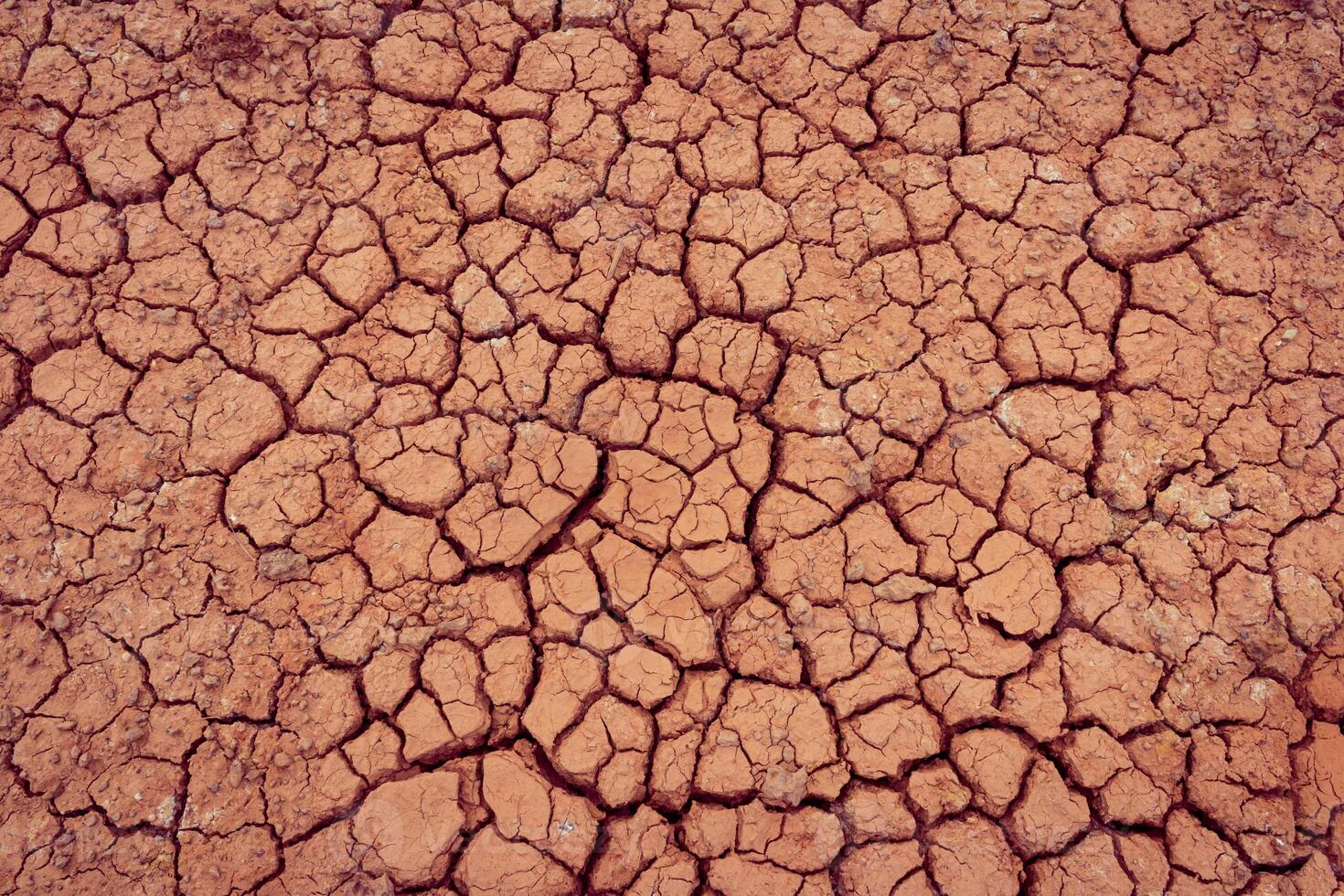 A close up of a dry, cracked surface photo