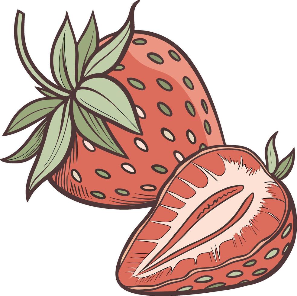 Juicy Strawberry Fruit Design for Food, Farm, and Organic Product Branding vector
