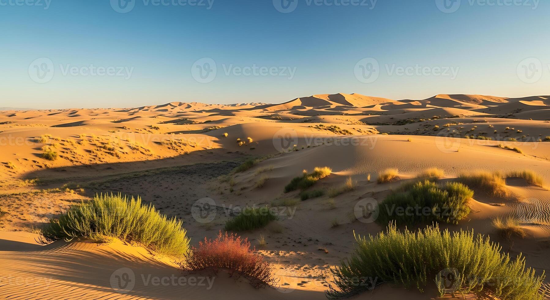 Golden Desert Dunes Under a Clear Blue Sky with Sparse Green Vegetation Growing photo