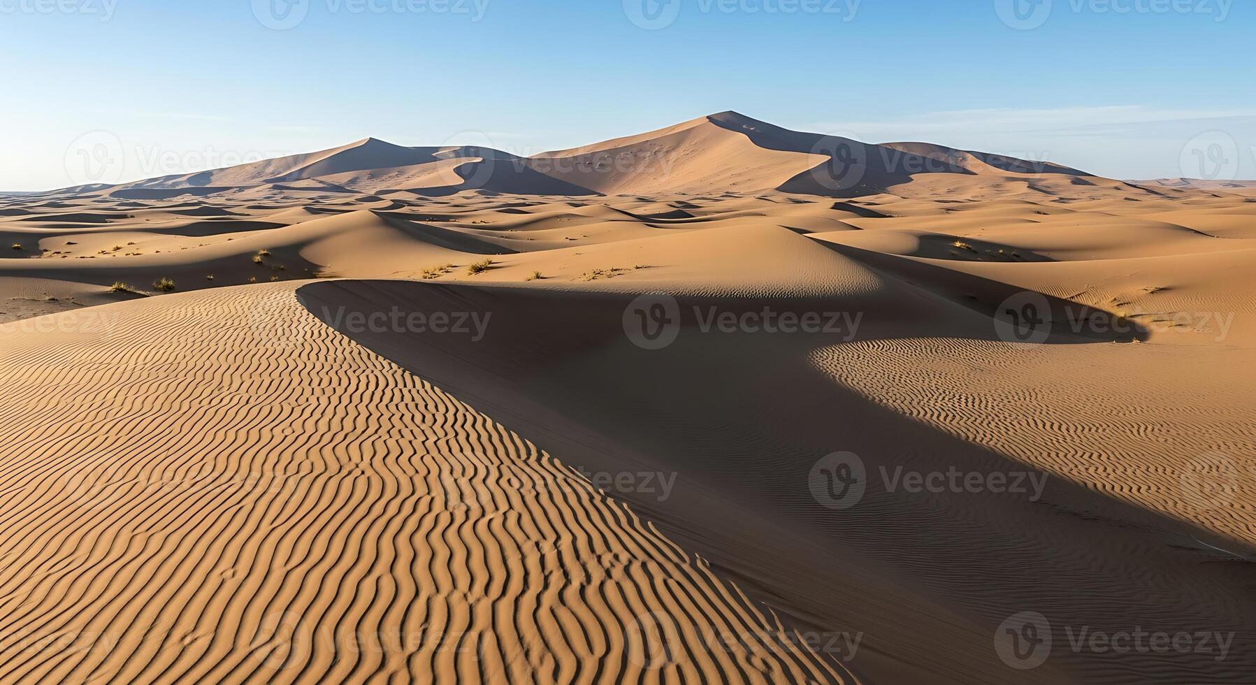 Vast Golden Desert Sand Dunes Under a Clear Blue Sky With Rippled Sand Patterns photo