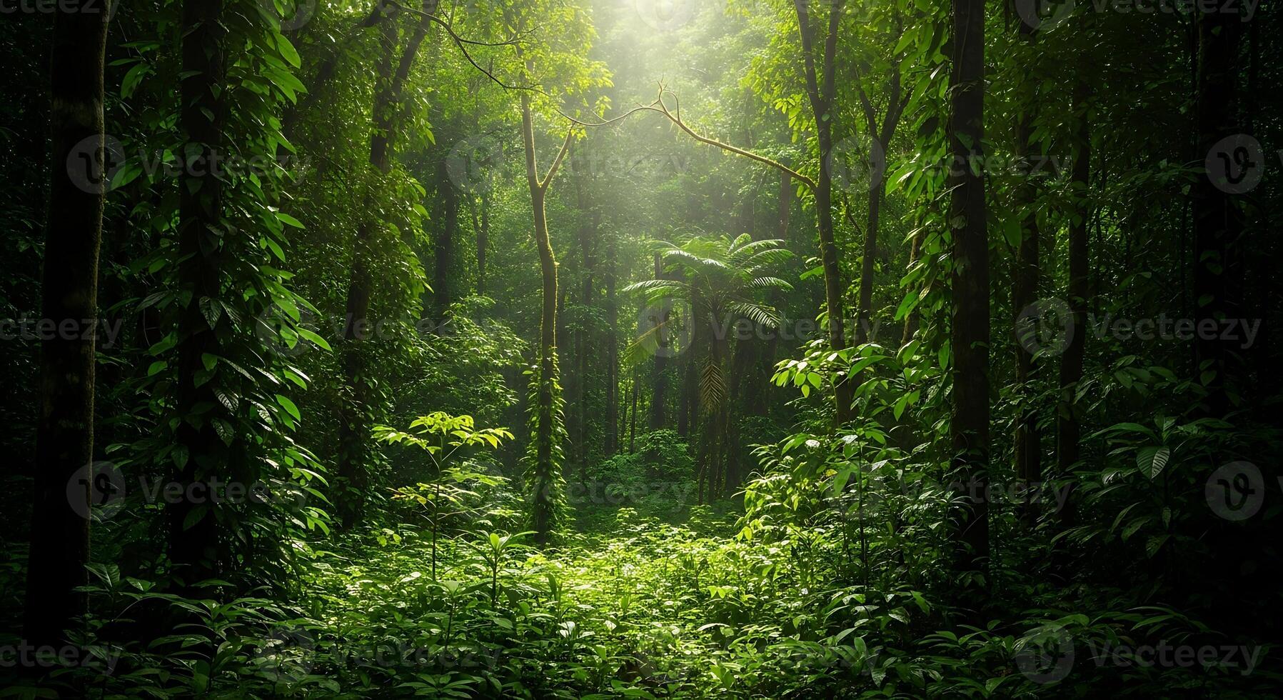 Lush Green Tropical Rainforest Canopy With Sunbeams Breaking Through Dense Foliage photo