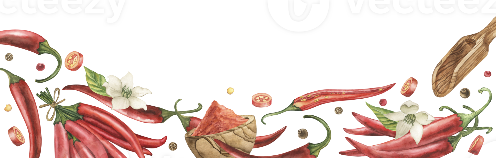 A picturesque watercolor banner featuring hot chili peppers, ground paprika in a wooden plate, various spices, green leaves and flowers. The illustration is hand drawn in a botanical style png