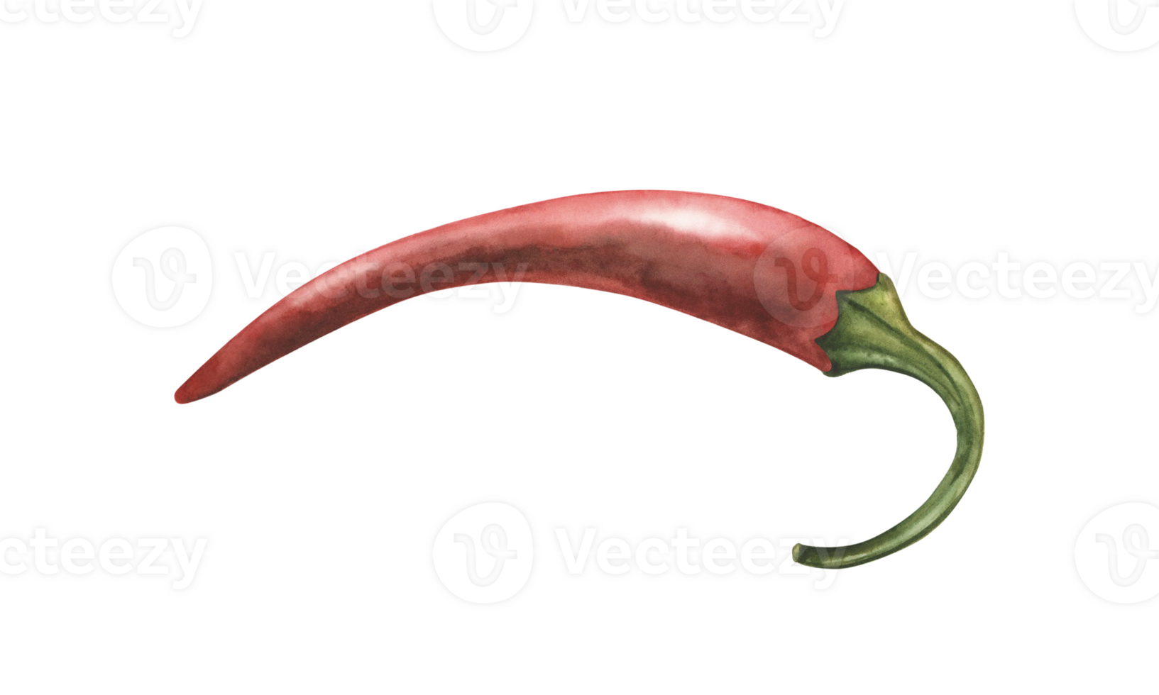 Vibrant watercolor illustration of a hot chili pepper pod in a handmade botanical style. Ideal for packaging, culinary projects, blogs, printing, cafe menus and the beauty industry png