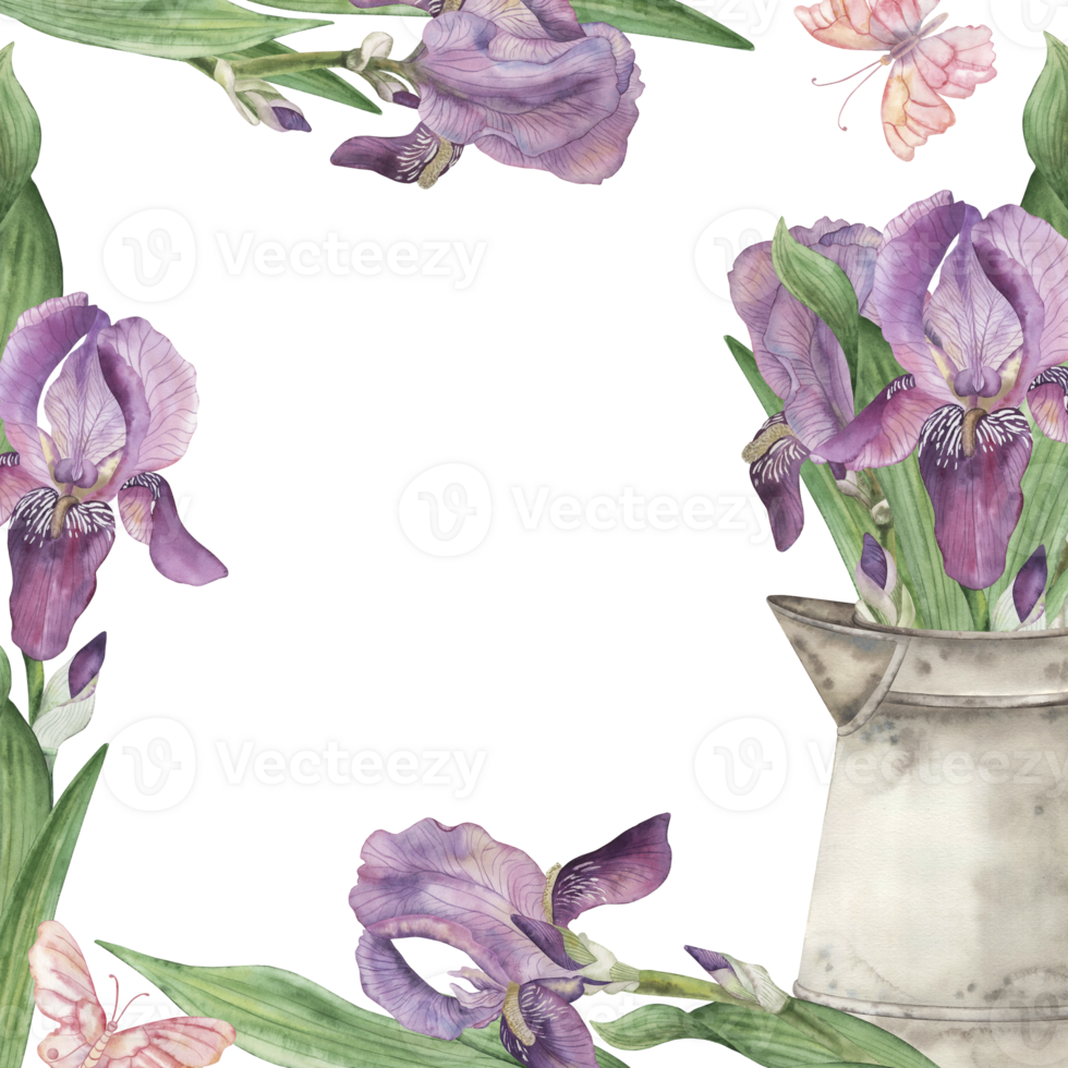 A square frame with purple irises, pink roses, a jug with a bouquet of flowers, green leaves, butterflies. The watercolor illustration is hand-drawn in a botanical style. For postcards invitations. png