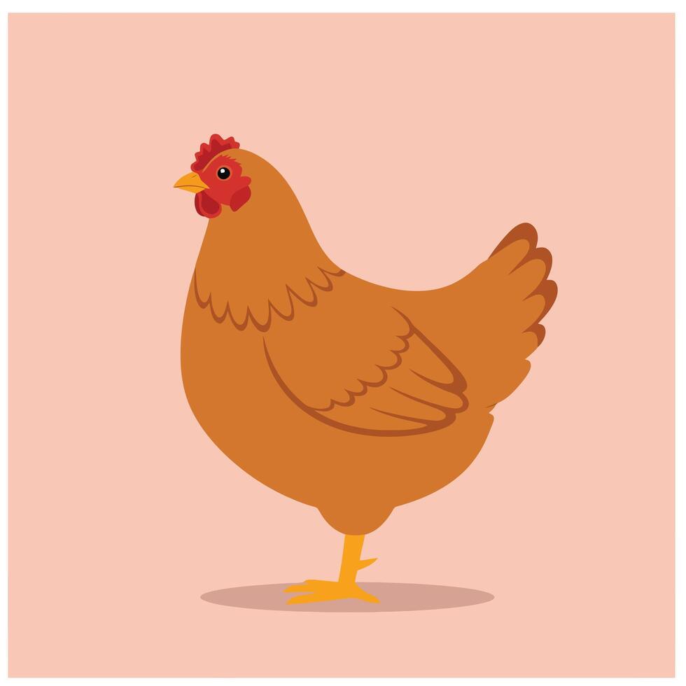 Farm Animal Cartoon Chicken in Minimal Style EPS 10 vector