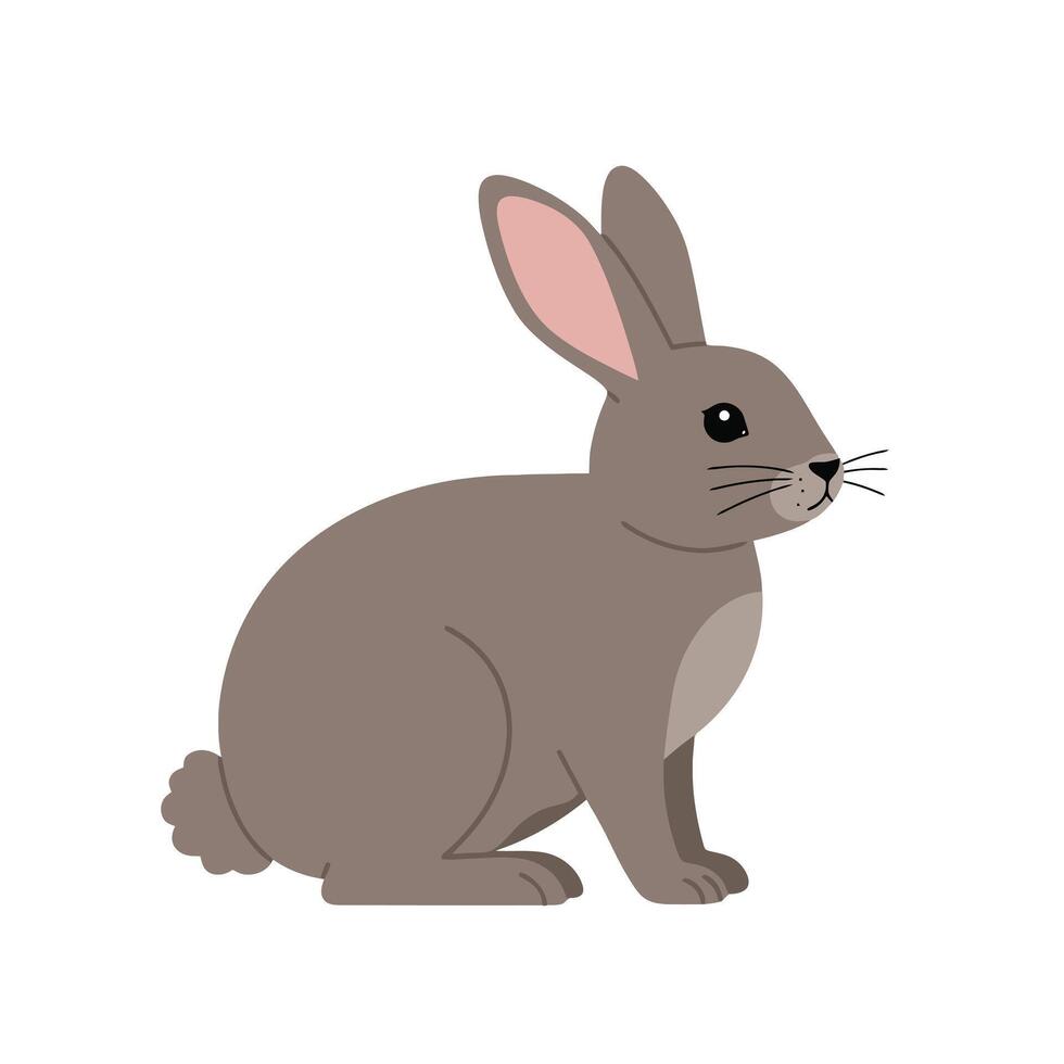 Rabbit Artwork Featuring Calm Posture and White Chest EPS 10 vector