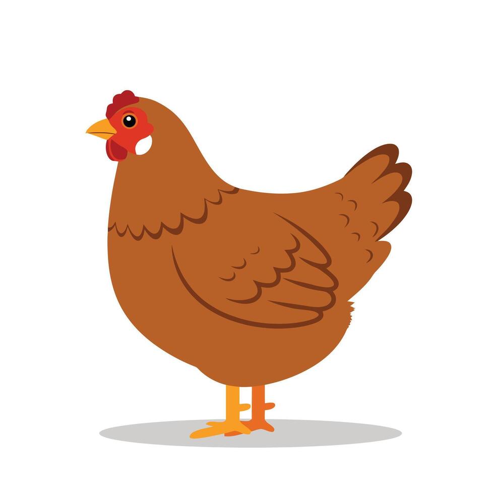 Editable Chicken Illustration Featuring Side Profile EPS 10 vector