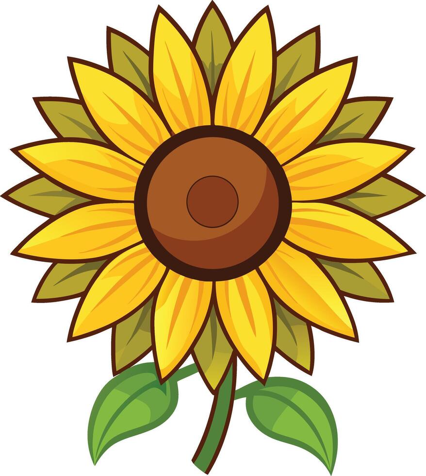 Cartoon sunflower blooming with green leaves vector