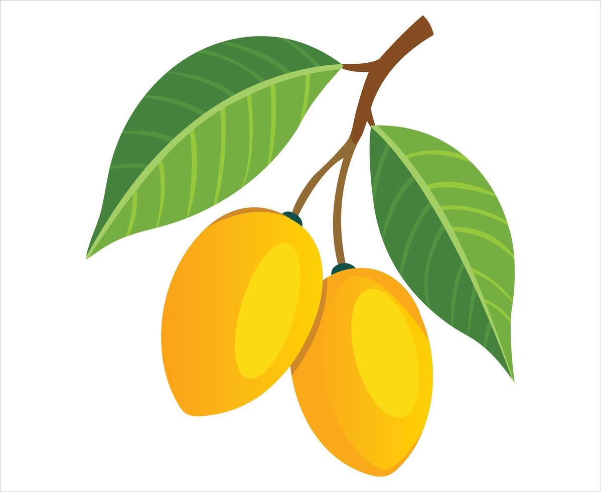 Illustration of Two Yellow Fruits Hanging from a Branch with Leaves vector