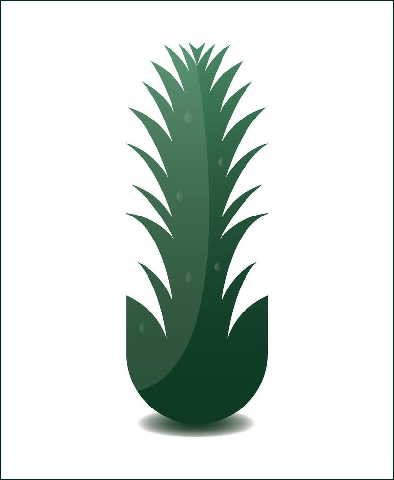 Stylized Aloe Vera Minimalist Green Succulent Illustration on White vector