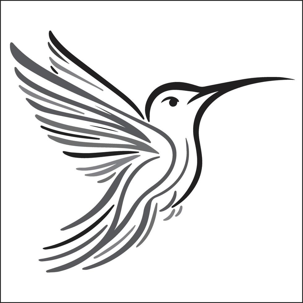 Elegant Hummingbird in Flight Abstract Gray Line Art on White vector