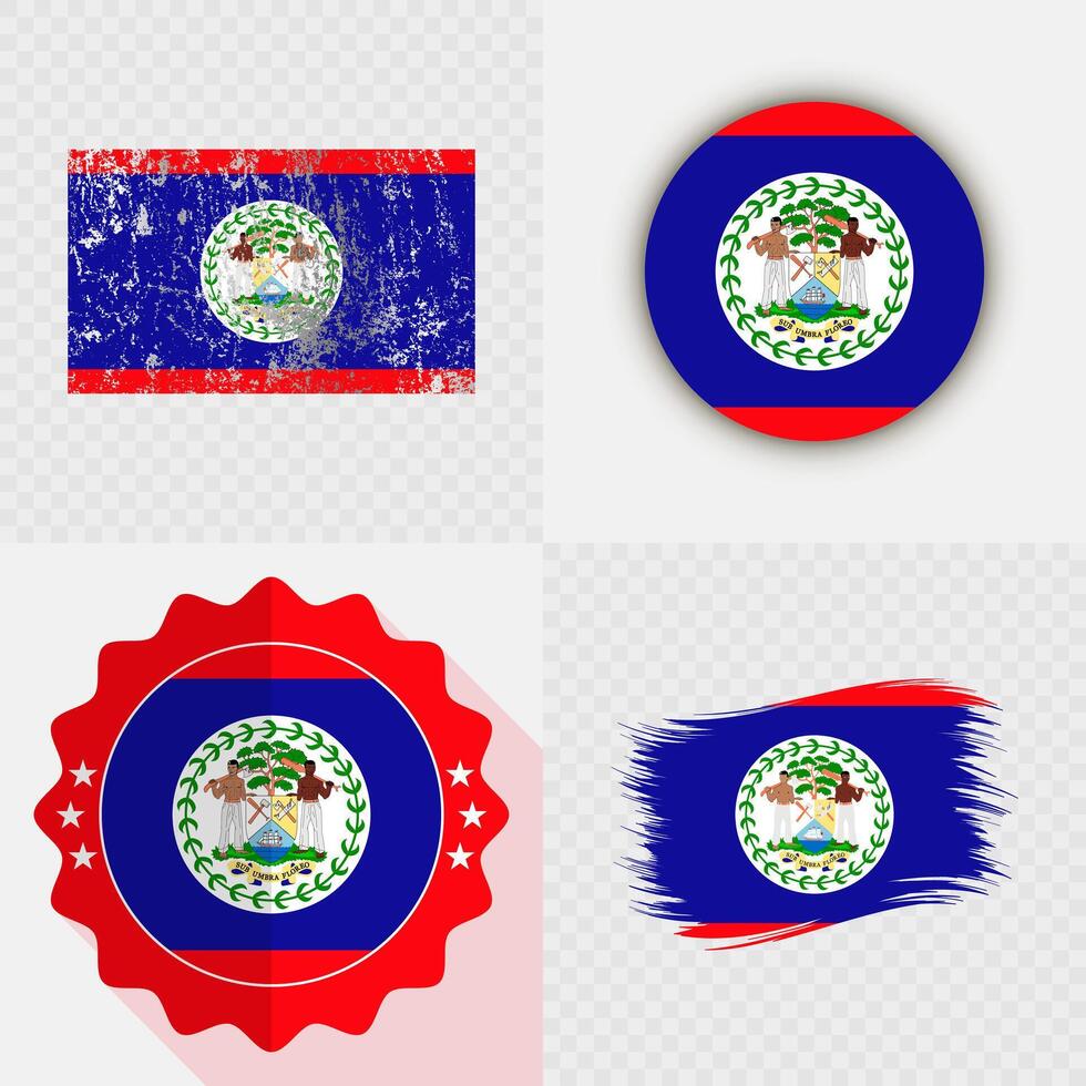 Artistic representations of Belize flags vector