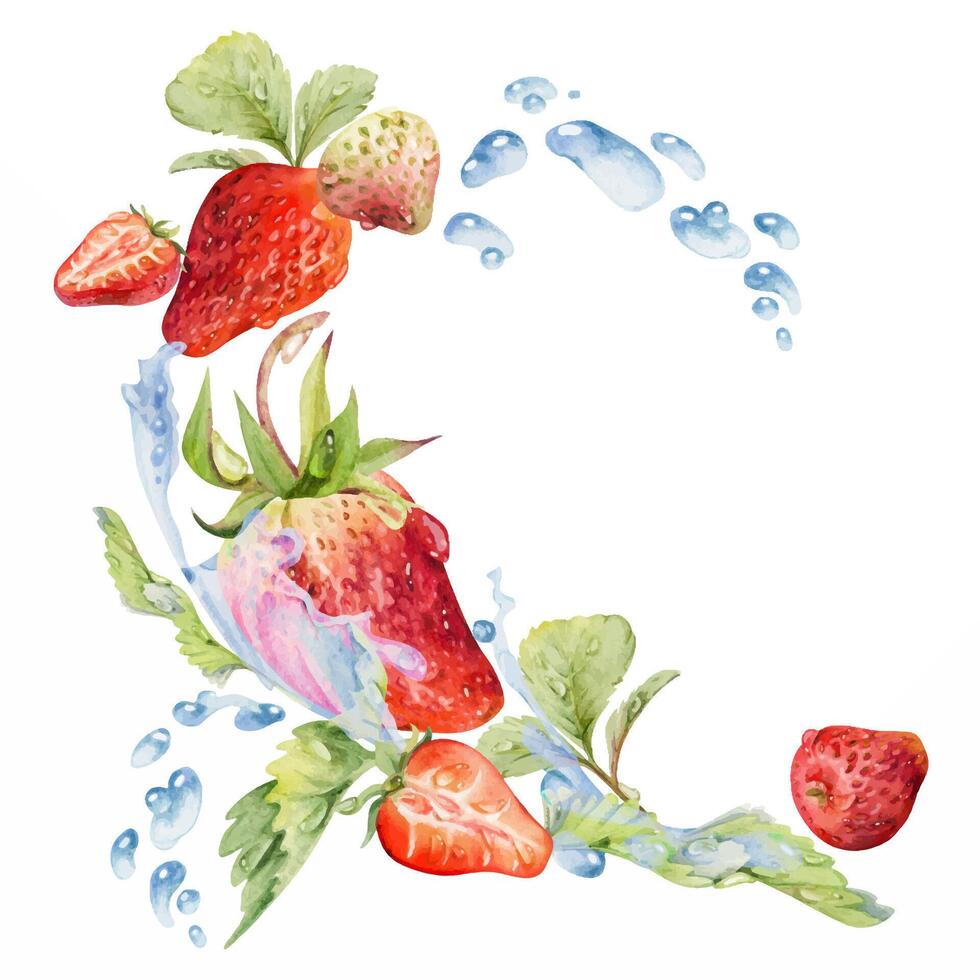 Fresh strawberries in water illustration vector