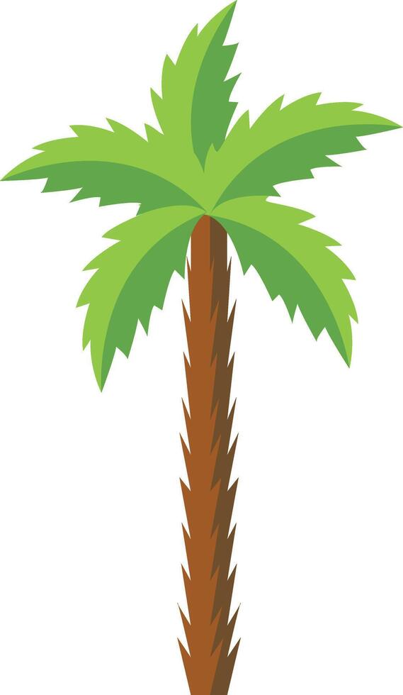 Tropical Palm Tree. vector